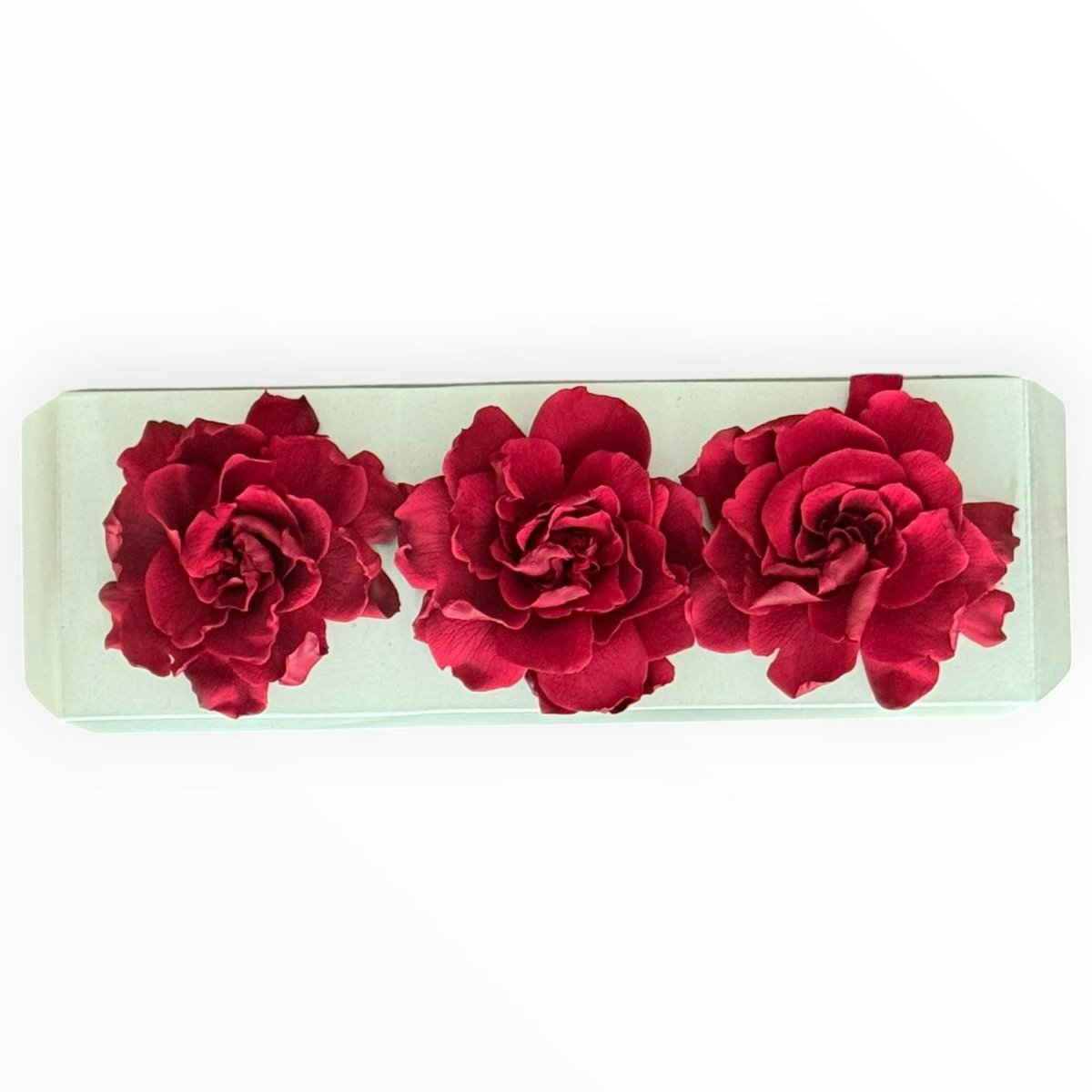 Floare criogenata visinie GARDENIA BURGUNDY (dia. 7 - 8cm) - Depozitul de Criogenati