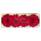 Gerbera Criogenata Rosie Verdissimo (dia. 8-9,5 cm) - Depozitul de Criogenati