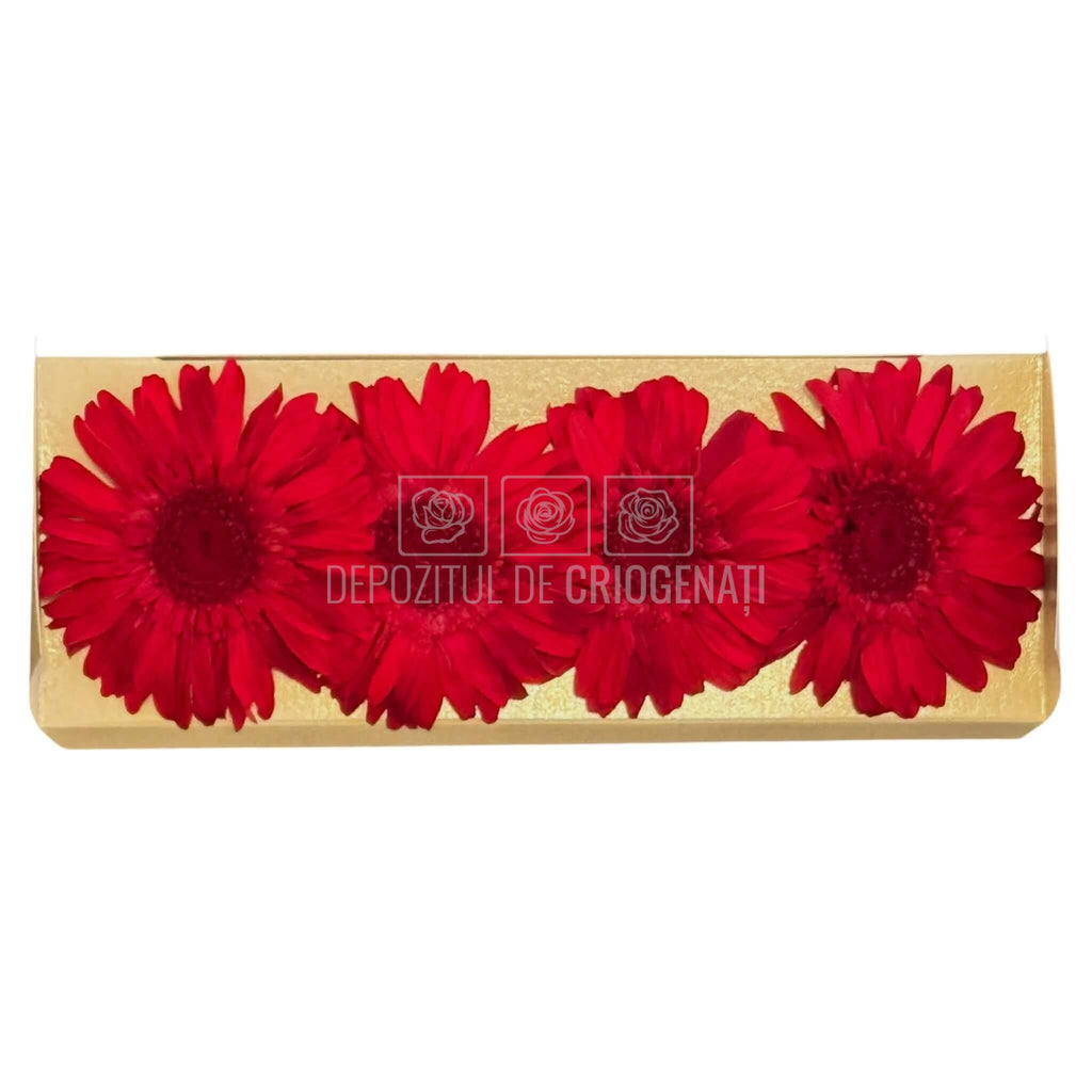 Gerbera Criogenata Rosie Verdissimo (dia. 8-9,5 cm) - Depozitul de Criogenati