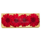 Gerbera Criogenata Rosie Verdissimo (dia. 8-9,5 cm) - Depozitul de Criogenati