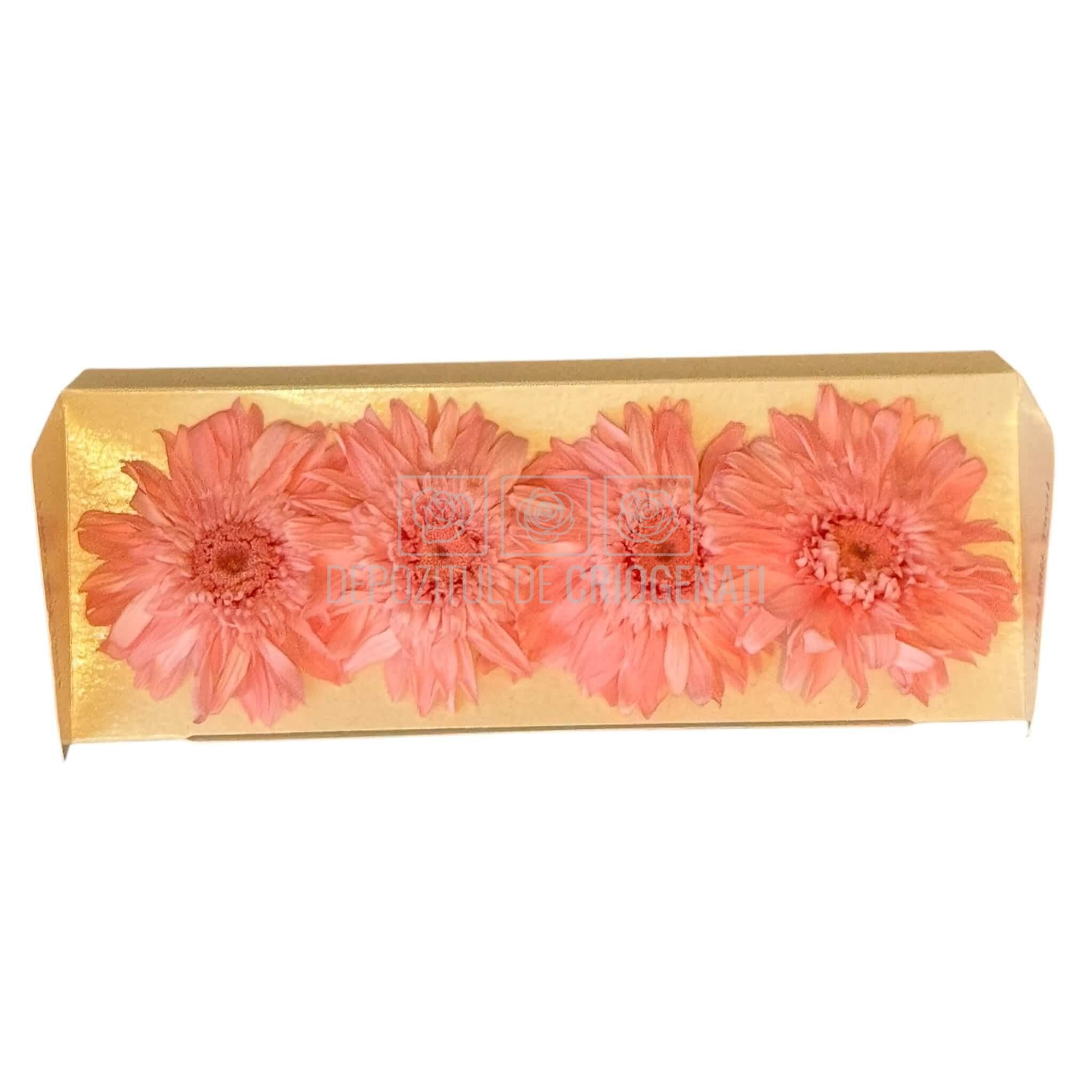 Gerbera Criogenata Roz Verdissimo (dia. 8-9,5 cm) - Depozitul de Criogenati