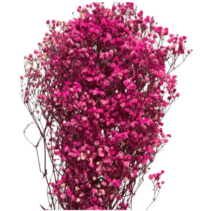 Gypsofila Bright Pink (Buchet Criogenat) - DepozituldeCriogenati.ro