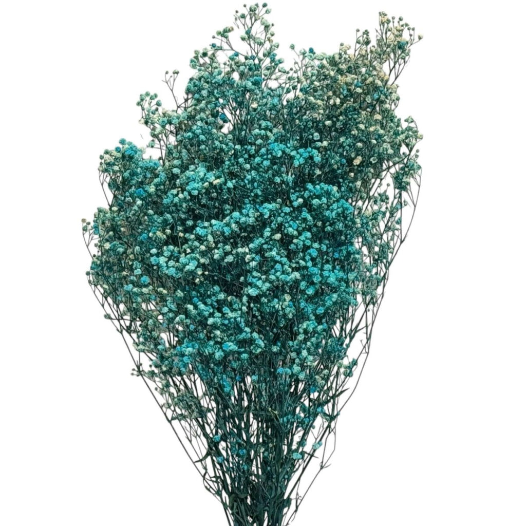 Gypsofila Light Blue (Buchet Criogenat) - DepozituldeCriogenati.ro