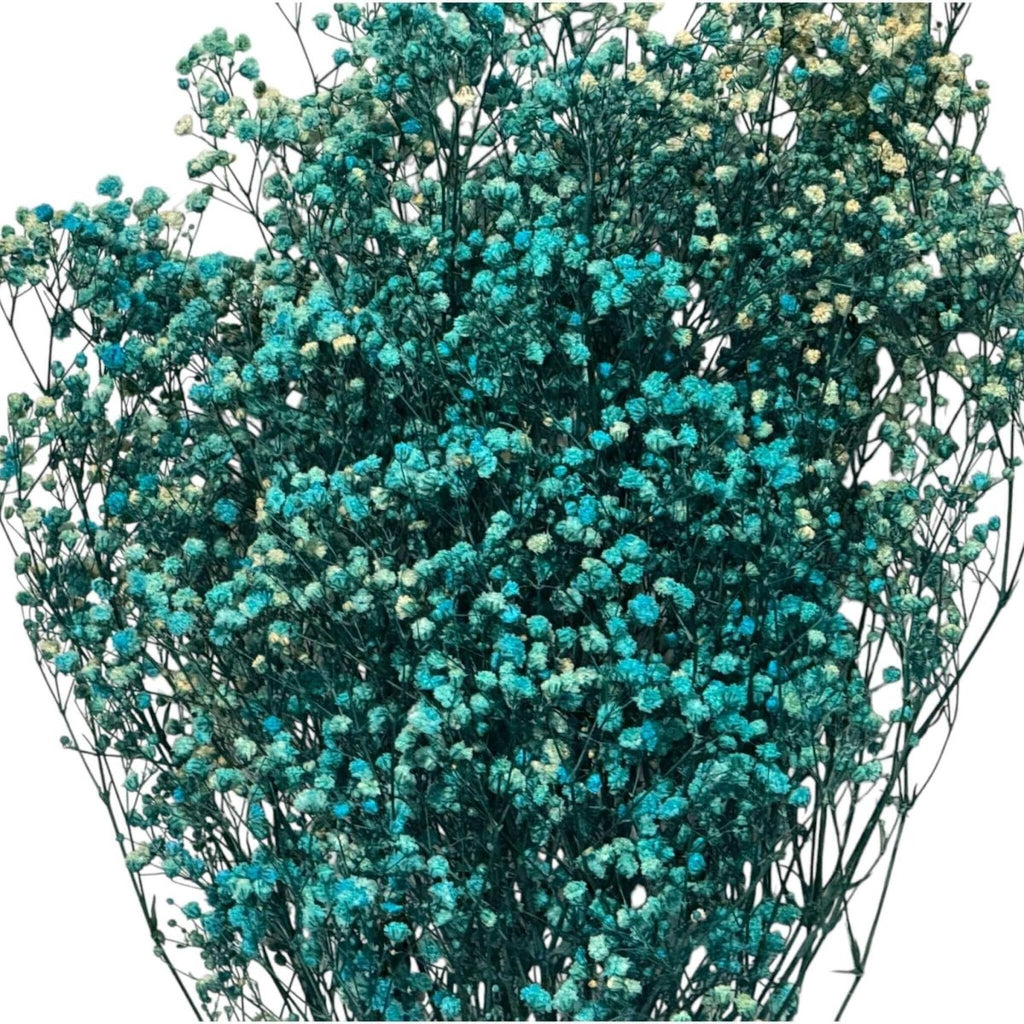 Gypsofila Light Blue (Buchet Criogenat) - DepozituldeCriogenati.ro