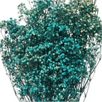 Gypsofila Light Blue (Buchet Criogenat) - DepozituldeCriogenati.ro