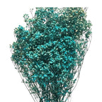 Gypsofila Light Blue (Buchet Criogenat) - DepozituldeCriogenati.ro