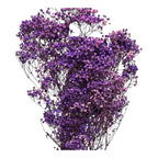 Gypsofila Purple (Buchet Criogenat) - DepozituldeCriogenati.ro