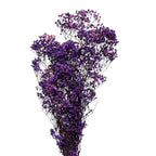 Gypsofila Purple (Buchet Criogenat) - DepozituldeCriogenati.ro