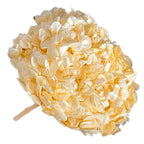 Hortensie Crem CHA-99 XL RoseAmor (Buchet Criogenat) - DepozituldeCriogenati.ro