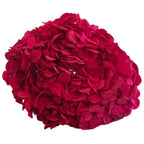 Hortensie Roz - lila RoseAmor (Buchet Criogenat) - Depozitul de Criogenati