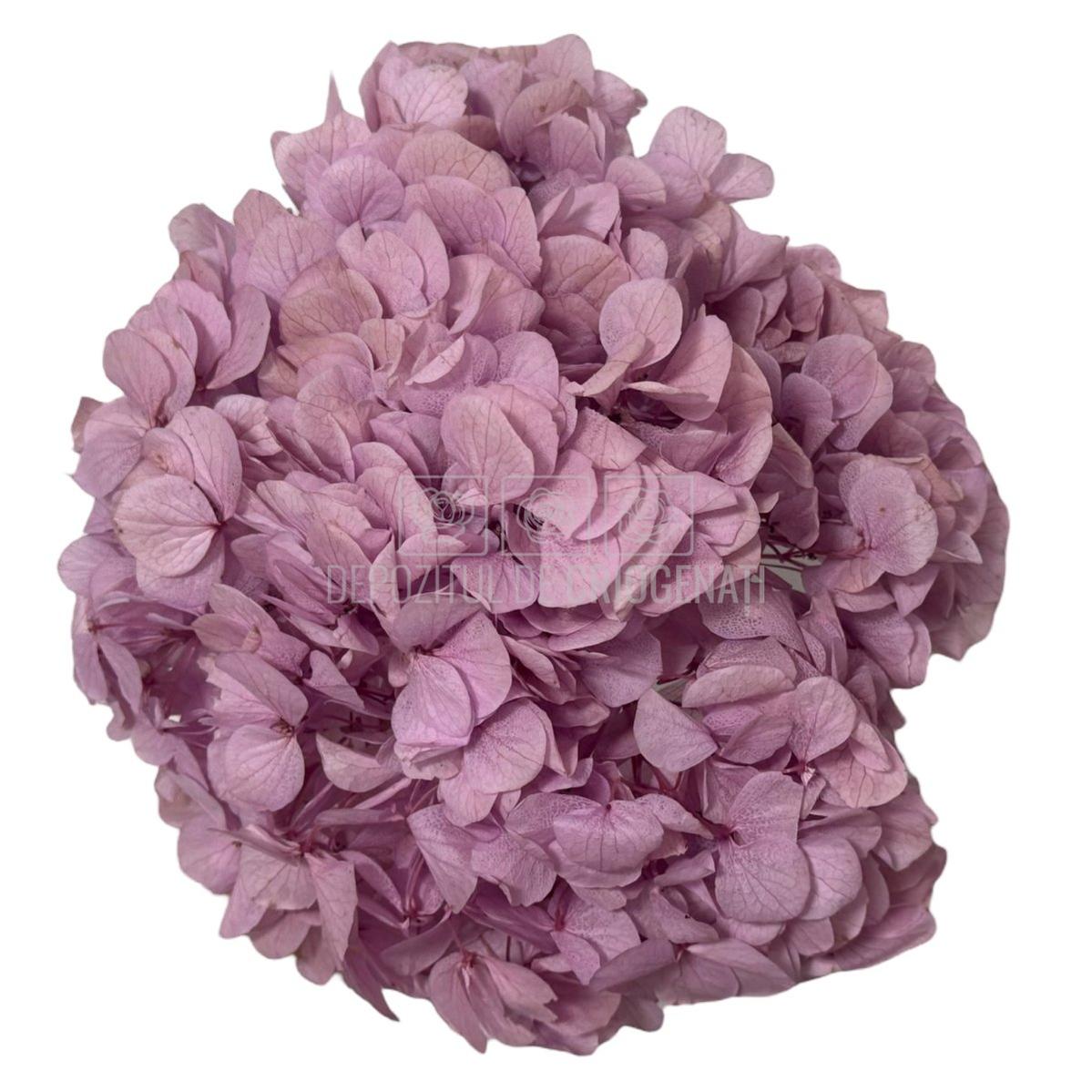 Floare criogenata hortensie roz-lila RoseAmor, buchet decorativ premium, ideal pentru flori nemuritoare și cadouri elegante.