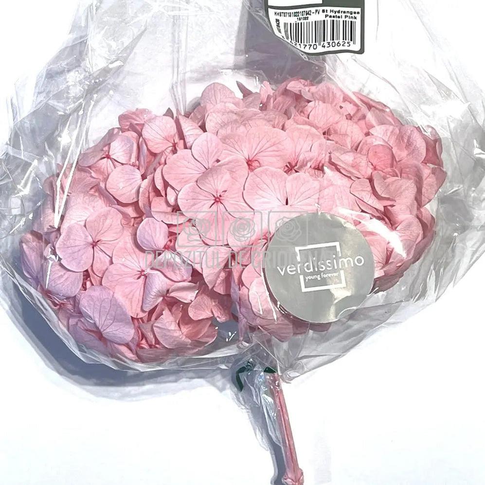 Hortensie Roz Verdissimo (Buchet Criogenat) - DepozituldeCriogenati.ro