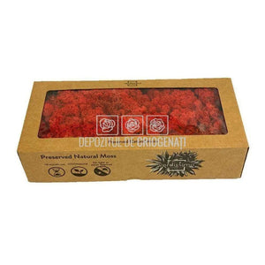 Licheni Decorativi Stabilizati cutie 500gr - Rosu (marca Verdissimo)