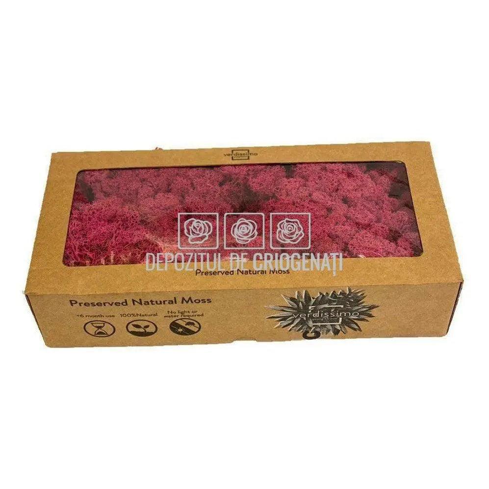 Licheni Decorativi Stabilizati cutie 500gr - Magenta (marca Verdissimo) - Depozitul de Criogenati
