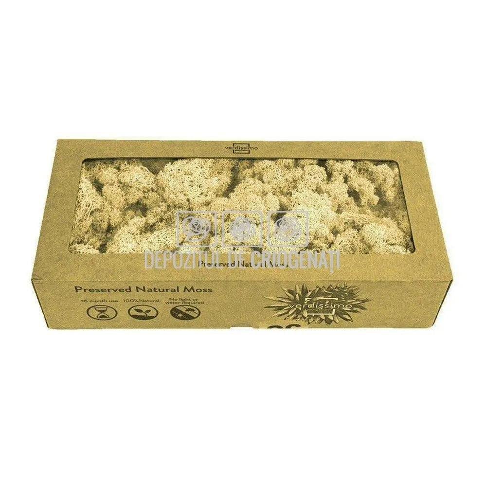 Licheni Decorativi Stabilizati cutie 500gr - Natural (marca Verdissimo) - Depozitul de Criogenati
