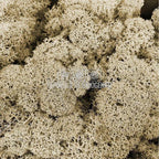 Licheni Decorativi Stabilizati cutie 500gr - Natural (marca Verdissimo) - Depozitul de Criogenati