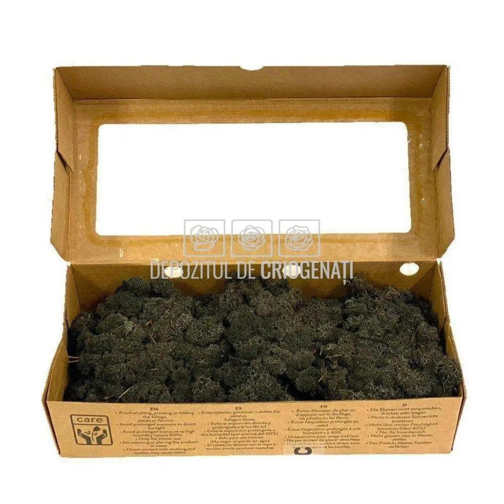 Licheni Decorativi Stabilizati cutie 500gr - Negru (marca Verdissimo) - Depozitul de Criogenati