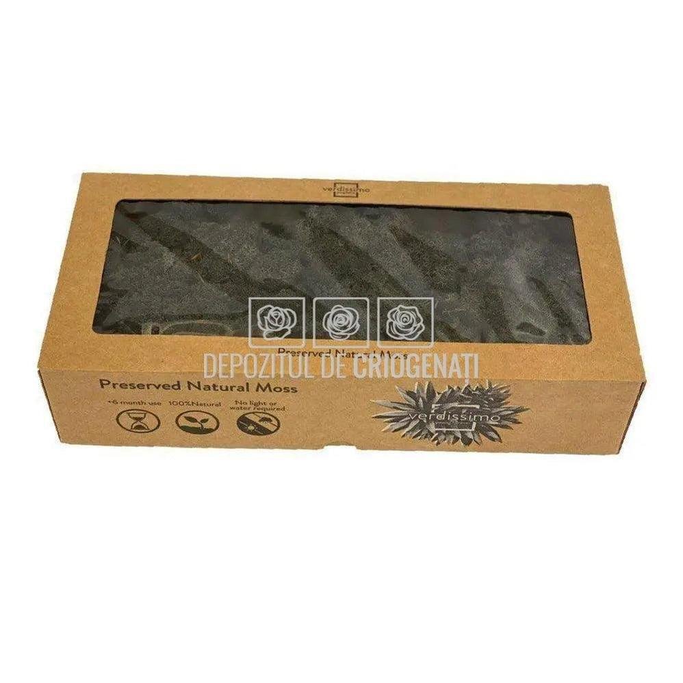 Licheni Decorativi Stabilizati cutie 500gr - Negru (marca Verdissimo) - Depozitul de Criogenati