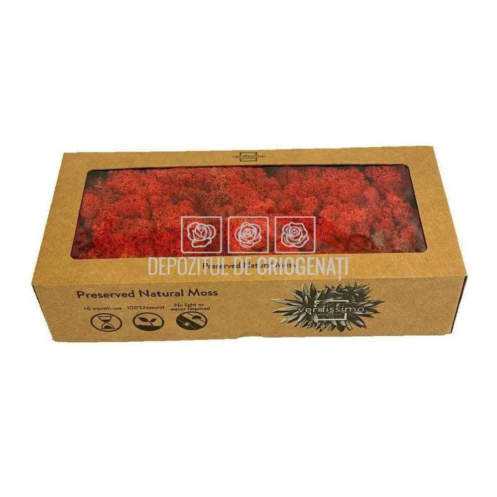 Licheni Decorativi Stabilizati cutie 500gr - Rosu (marca Verdissimo) - Depozitul de Criogenati