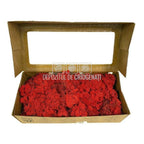 Licheni Decorativi Stabilizati cutie 500gr - Rosu (marca Verdissimo) - Depozitul de Criogenati
