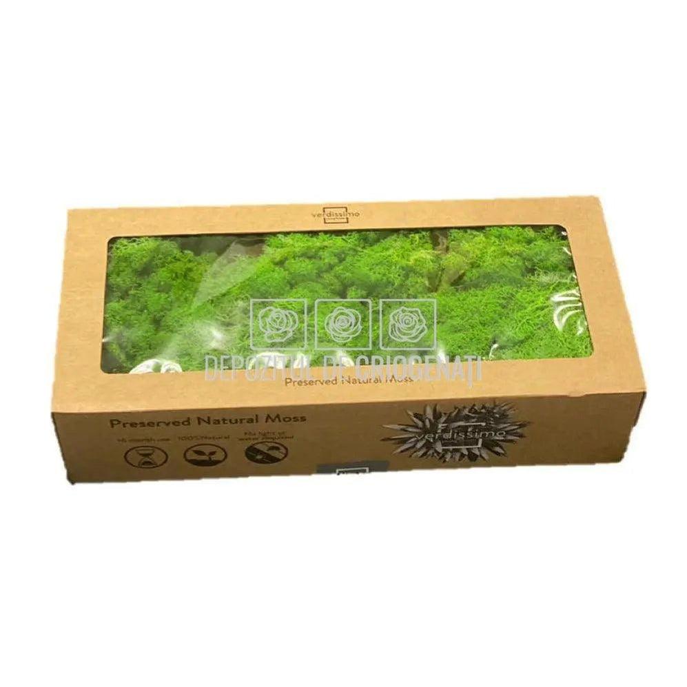 Licheni Decorativi Stabilizati cutie 500gr - Verde Apple (Verdissimo) - Depozitul de Criogenati