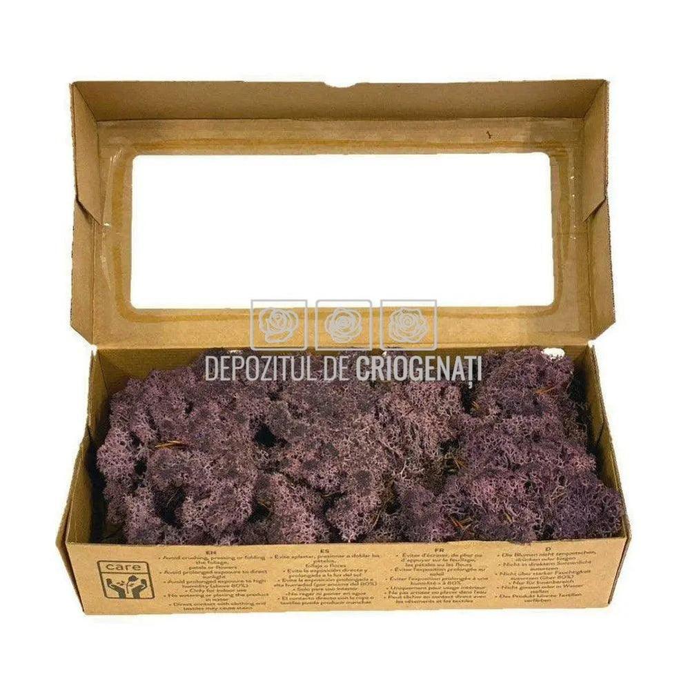 Licheni Decorativi Stabilizati cutie 500gr - Violet (marca Verdissimo) - Depozitul de Criogenati