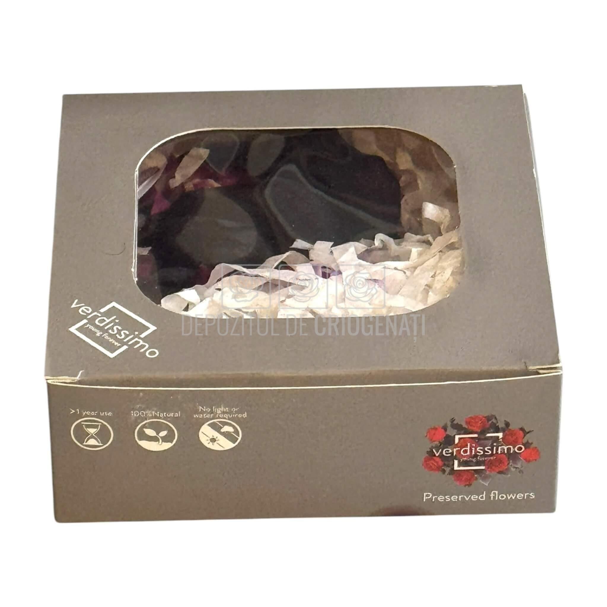Mini Cale Criogenate Blackberry Verdissimo (7-10 cm) - Depozitul de Criogenati