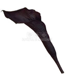Mini Cale Criogenate Blackberry Verdissimo (7-10 cm) - Depozitul de Criogenati