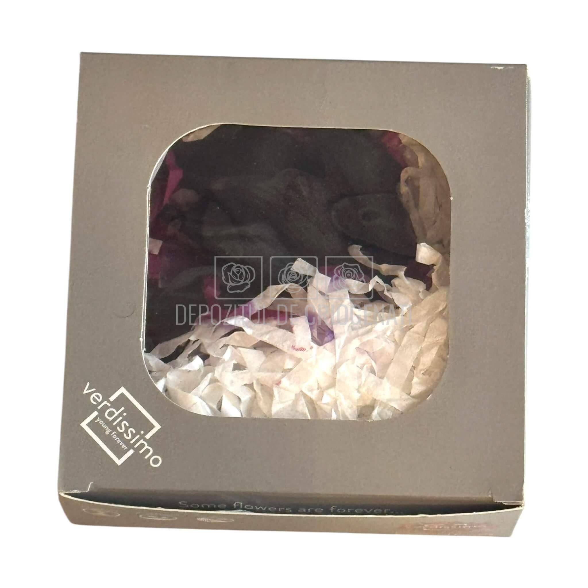 Mini Cale Criogenate Blackberry Verdissimo (7-10 cm) - Depozitul de Criogenati