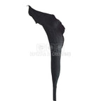 Mini Cale Criogenate Blackberry Verdissimo (7-10 cm) - Depozitul de Criogenati