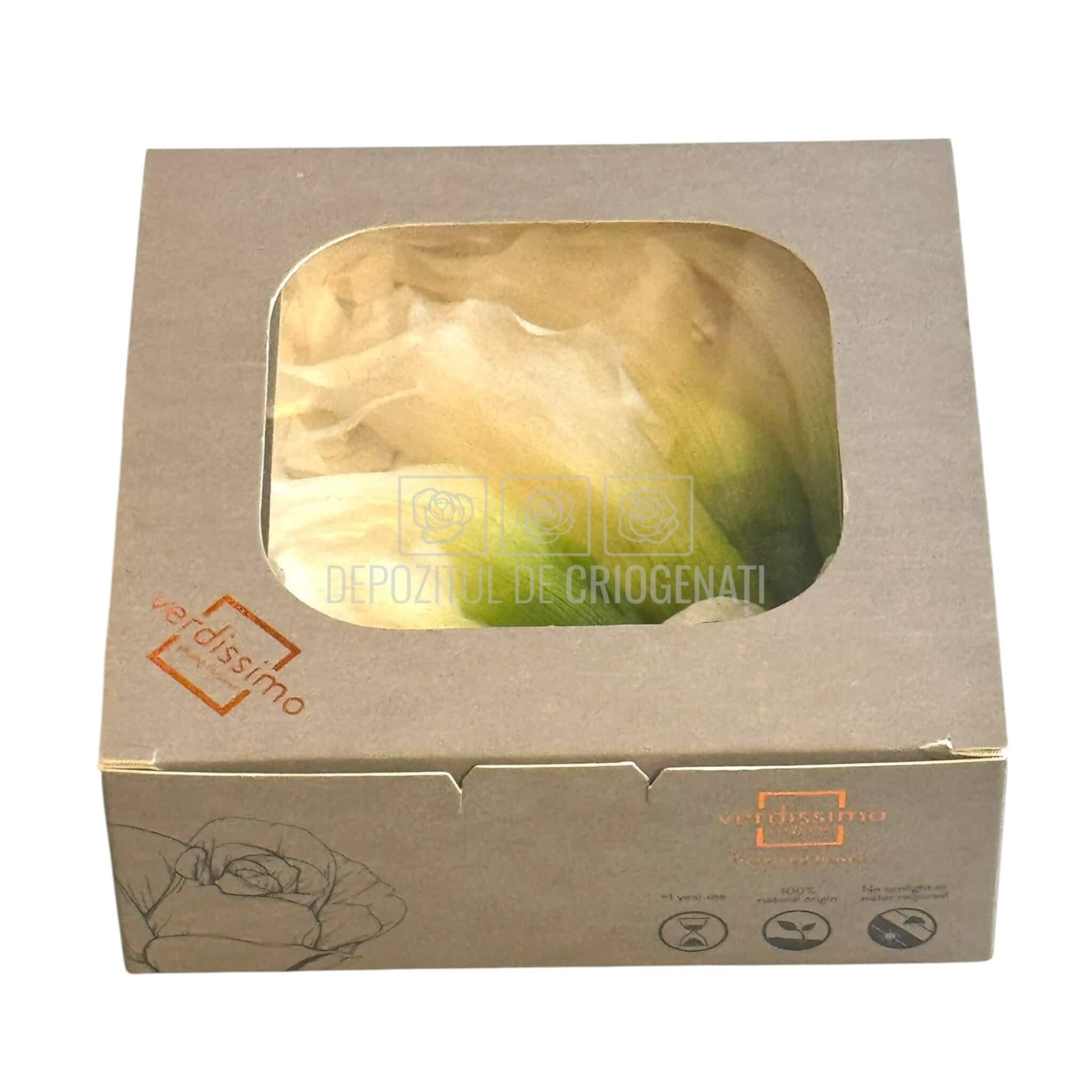Mini Cale Criogenate Naturale Verdissimo (7-10 cm) - Depozitul de Criogenati