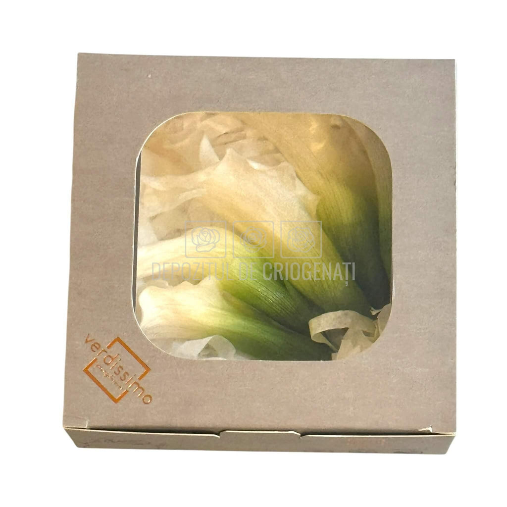 Mini Cale Criogenate Naturale Verdissimo (7-10 cm) - Depozitul de Criogenati