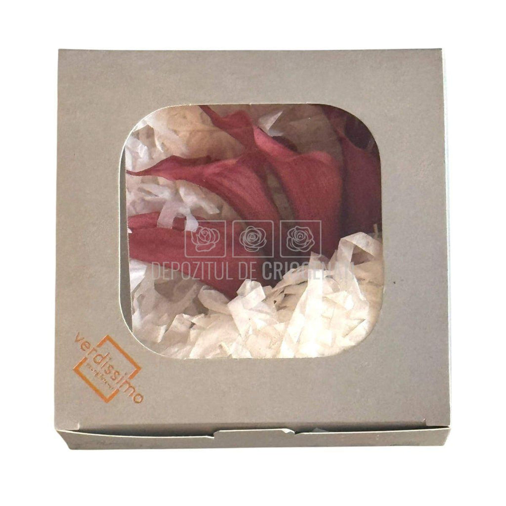 Mini Cale Criogenate Roz inchis - mov pudrat (7-10 cm) - Depozitul de Criogenati