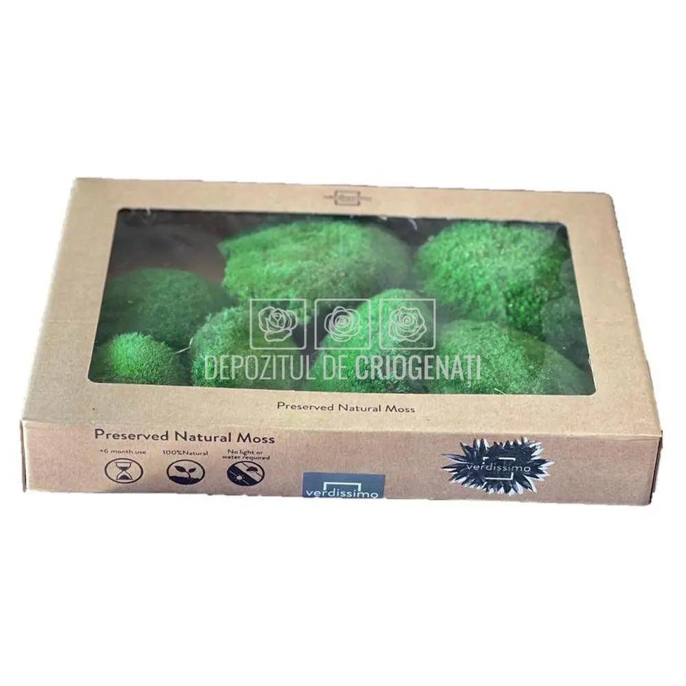 Muschi Stabilizat Bombat Verde (cutie 180gr)