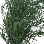 Plante stabilizate Nicoli Eucalipt Verde în buchet dens, perfect pentru aranjamente florale durabile. Buchet criogenat cu livrare rapidă.
