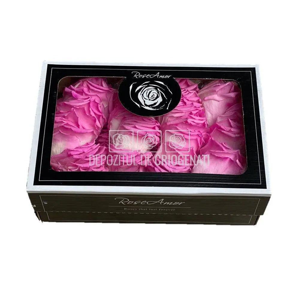 Petale de Trandafiri Criogenati PETALS BIC - 08 (cutie) - Depozitul de Criogenati