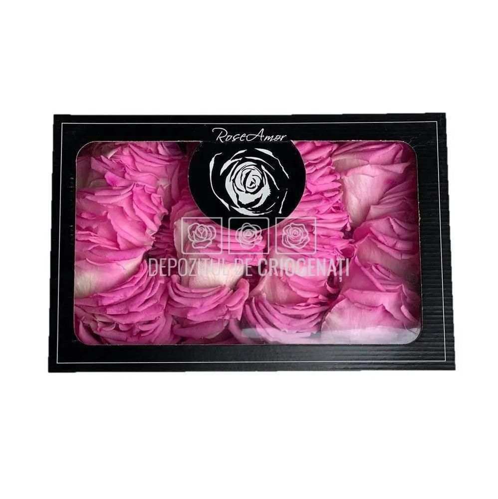 Petale de Trandafiri Criogenati PETALS BIC - 08 (cutie) - Depozitul de Criogenati