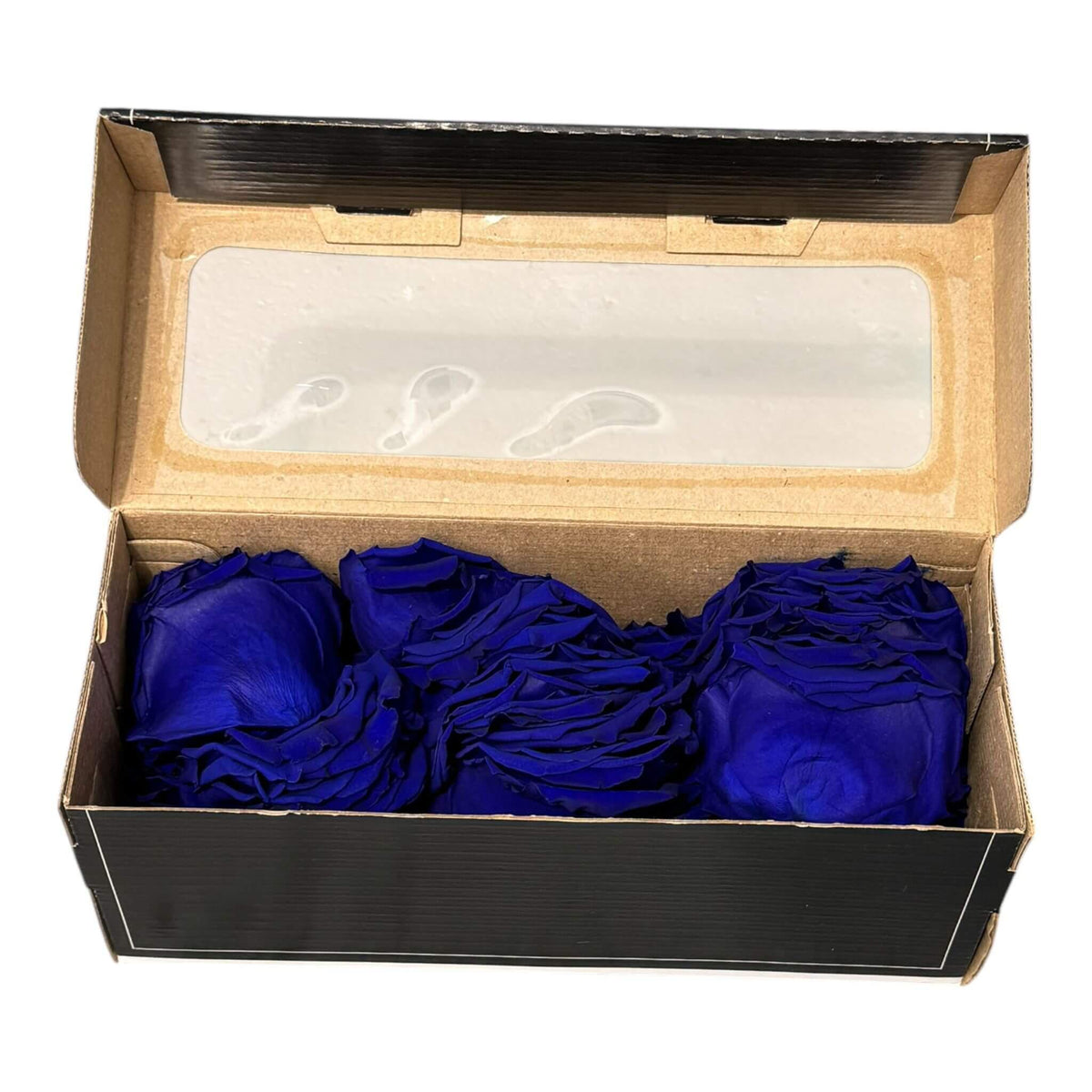 Petale de Trandafiri Criogenati PETALS BLU - 03 (cutie) - DepozituldeCriogenati.ro