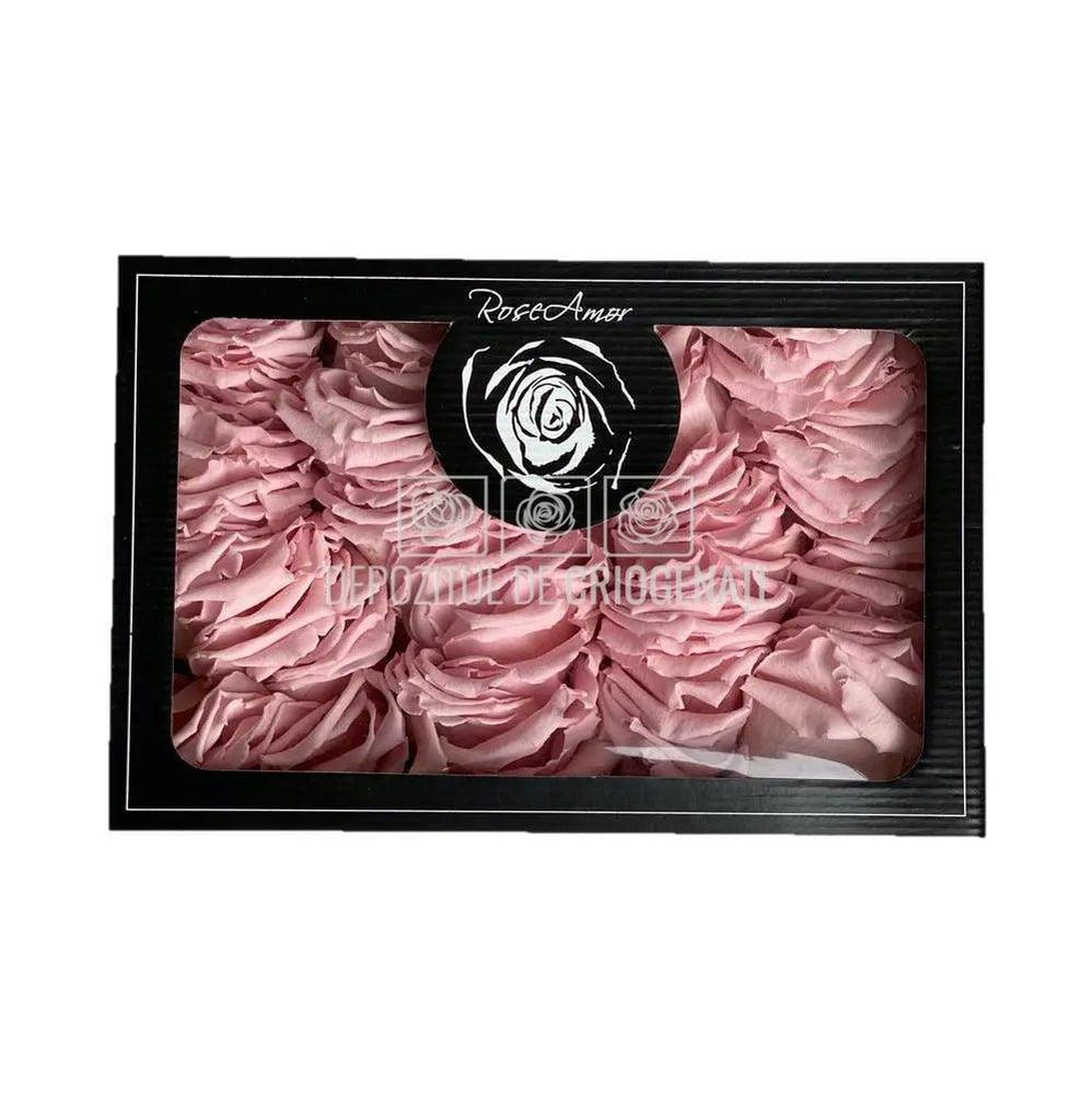Petale de Trandafiri Criogenati PETALS PIN-04 (cutie) - DepozituldeCriogenati.ro