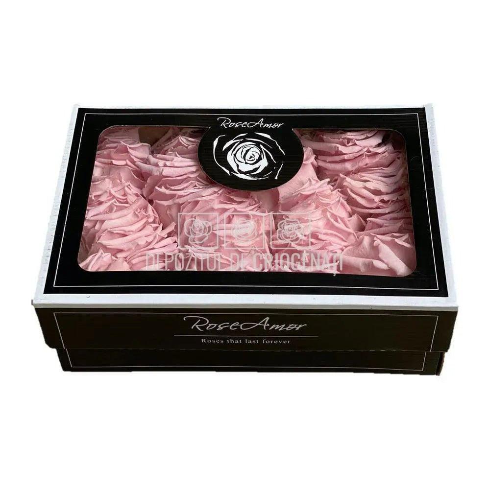 Petale de Trandafiri Criogenati PETALS PIN - 04 (cutie) - Depozitul de Criogenati