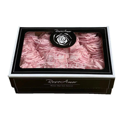 Petale de Trandafiri Criogenati PETALS PIN - 04 (cutie) - Depozitul de Criogenati