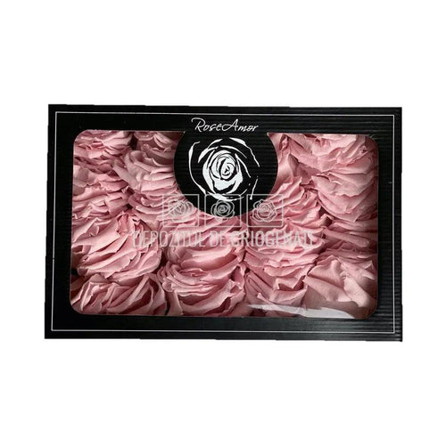 Petale de Trandafiri Criogenati PETALS PIN - 04 (cutie) - Depozitul de Criogenati