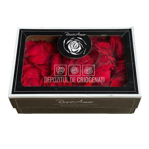 Petale de Trandafiri Criogenati PETALS RED-02 (cutie) - DepozituldeCriogenati.ro