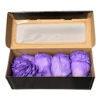 Petale de Trandafiri Criogenati PETALS VIO - 01 (cutie) - DepozituldeCriogenati.ro