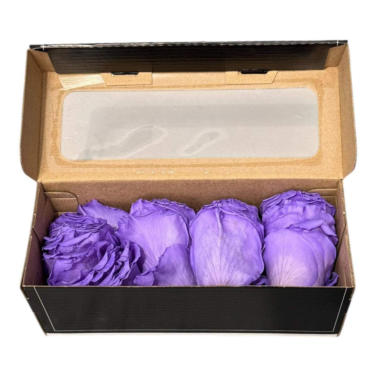 Petale de Trandafiri Criogenati PETALS VIO - 01 (cutie) - DepozituldeCriogenati.ro