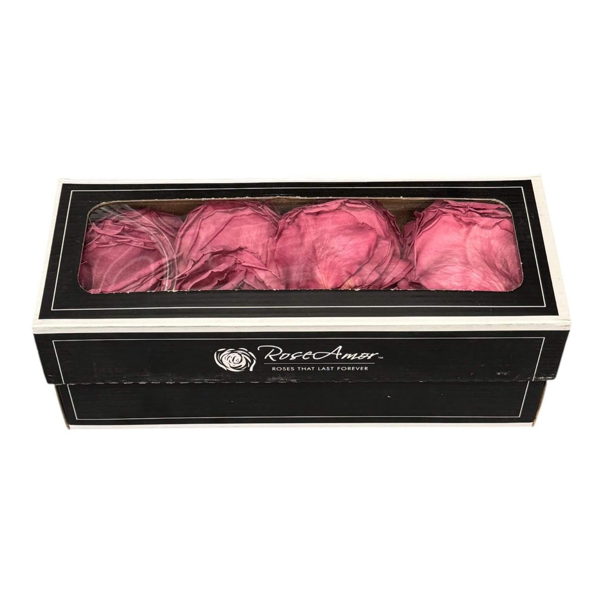 Petale de Trandafiri Criogenati PETALS VIO - 02 (cutie) - DepozituldeCriogenati.ro