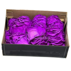 Petale purpurii de Trandafiri Criogenati RoseAmor PUR - 02 la Cutie 100 gr - Depozitul de Criogenati