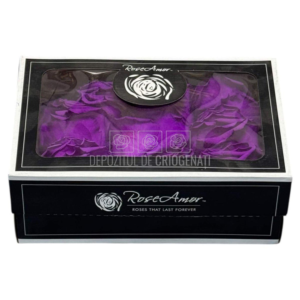 Petale purpurii de Trandafiri Criogenati RoseAmor PUR - 02 la Cutie 100 gr - Depozitul de Criogenati