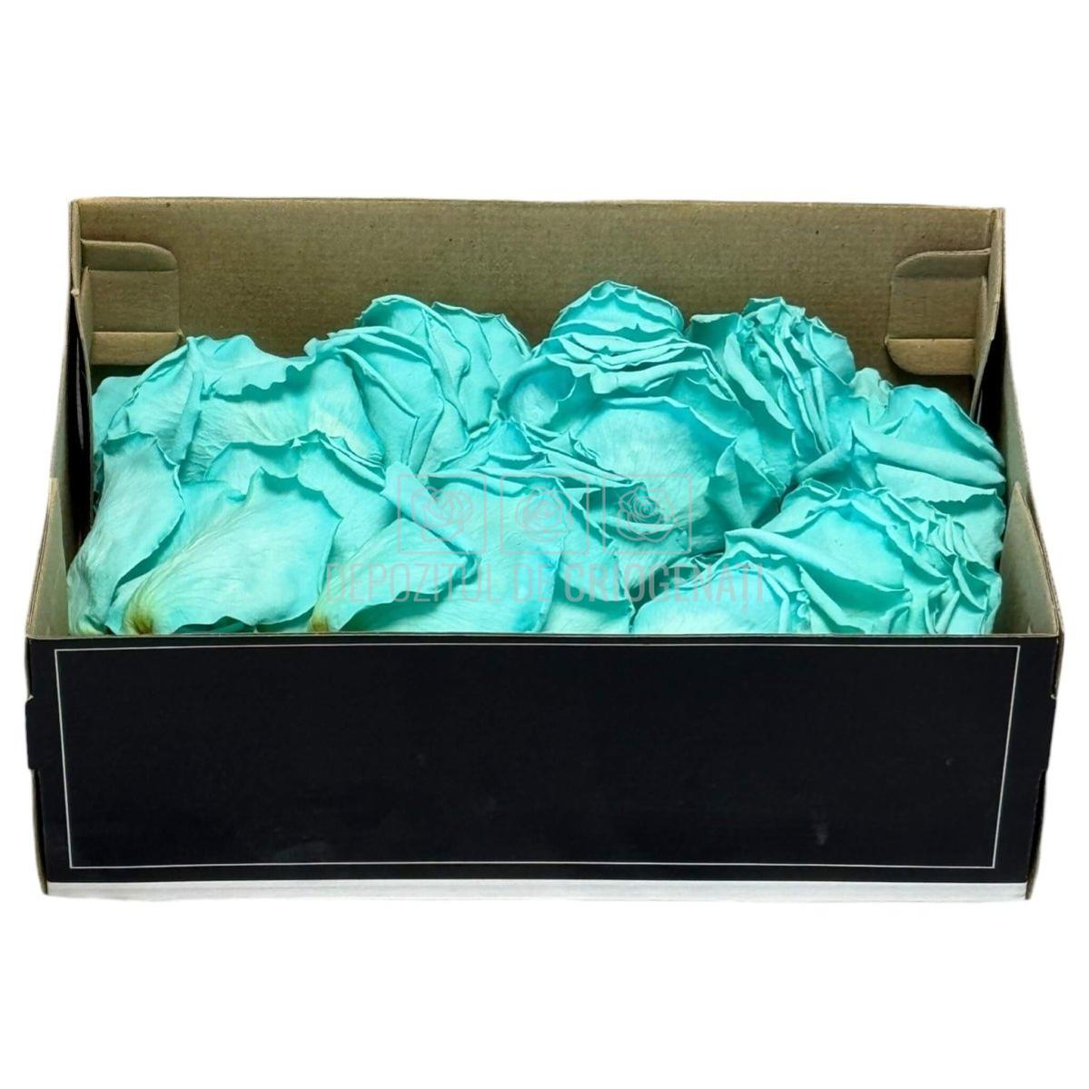 Petale turquoise de Trandafiri Criogenati RoseAmor PUR - 02 la Cutie 100 gr - Depozitul de Criogenati