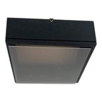Rama neagra cu Plexiglas 27x27cm pentru tablouri decorative, ideala pentru flori criogenate si plante nemuritoare
